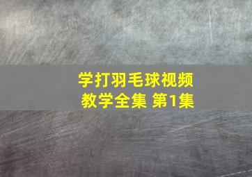 学打羽毛球视频教学全集 第1集